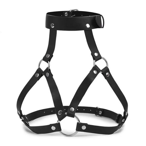Arnés de pecho con collar